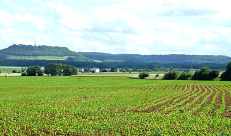 2ème édition journée santé environnement à la Colline de Sion-Cité des paysages de Meurthe-et-Moselle-CLS Terres de Lorraine